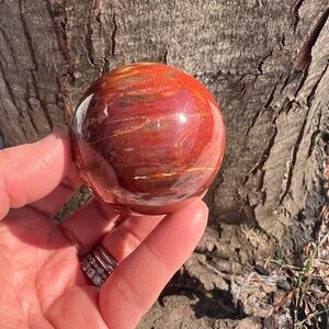 Petrified (6) wood sphere | crystal